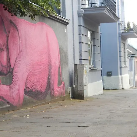 Roko