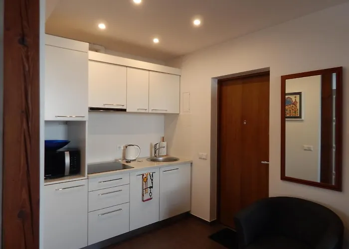 Roko アパート カウナス