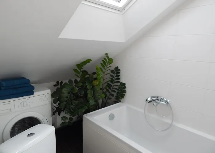 アパート Roko カウナス